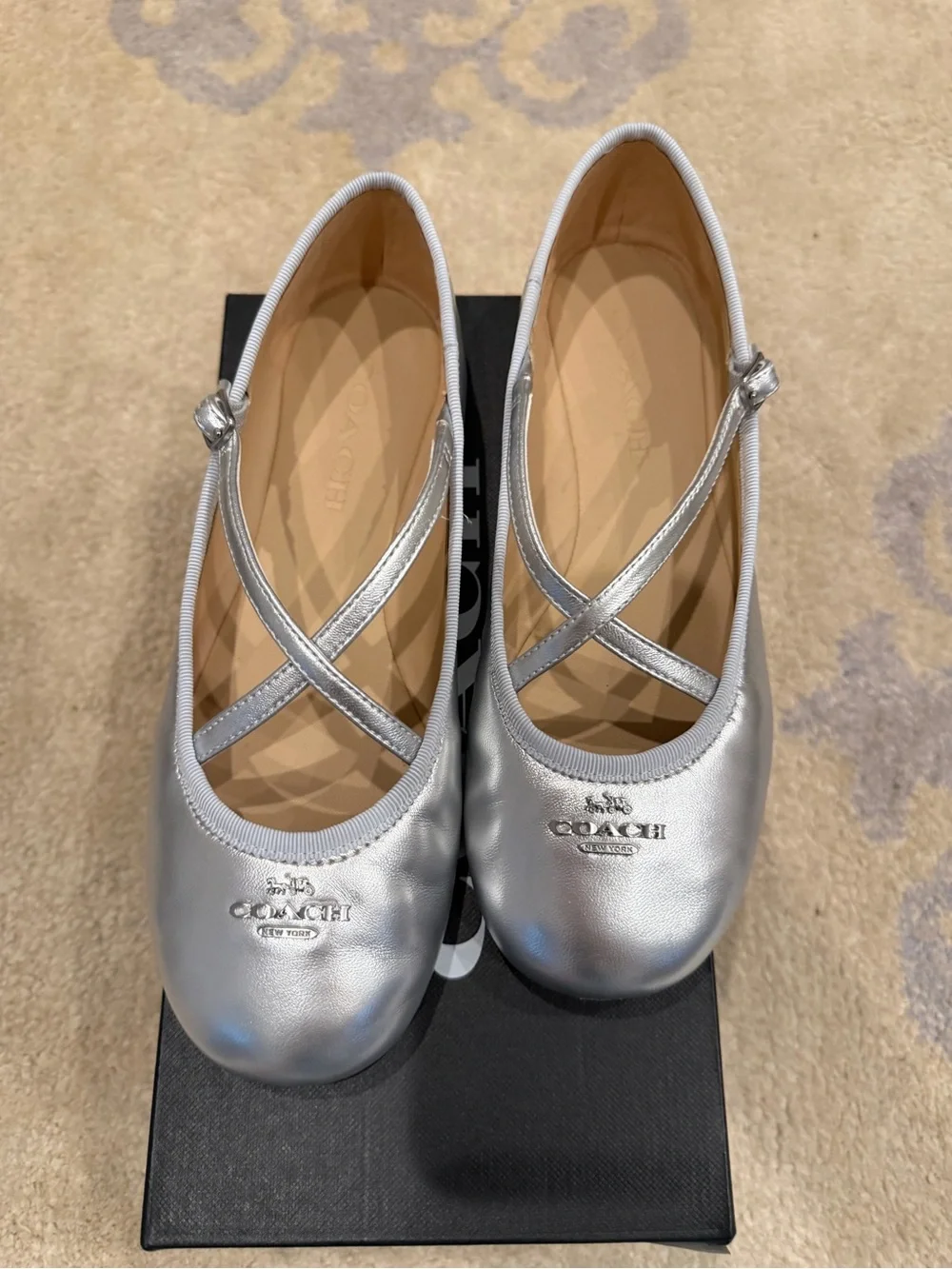 Coach Phoebe Silver Ballet Flats